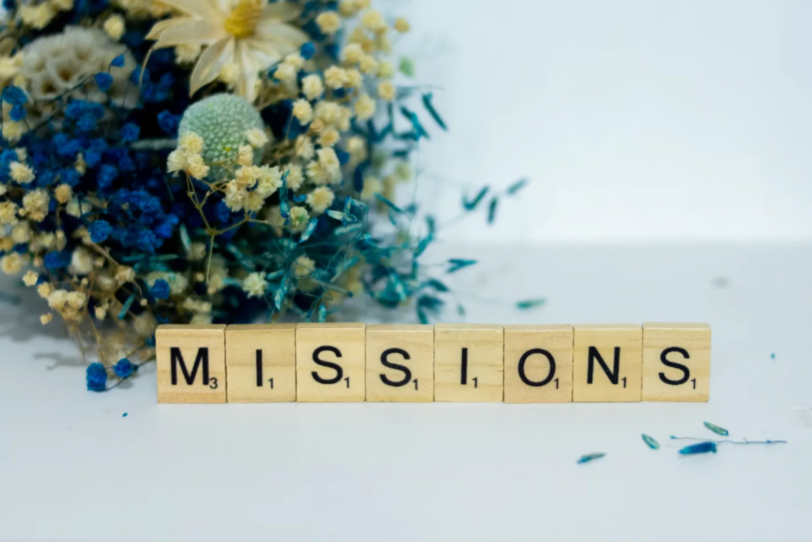 Our mission